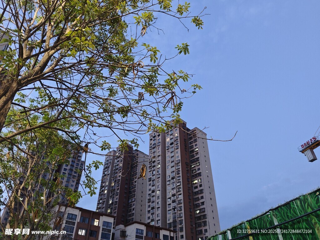城市高楼与绿树景观