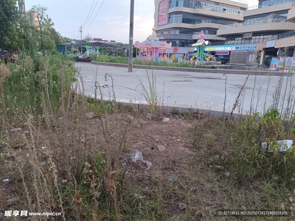 路边杂草丛生的荒地