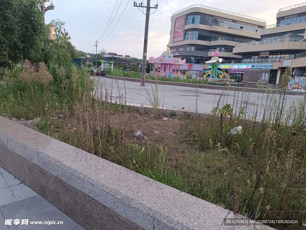 城市路边的杂草景观