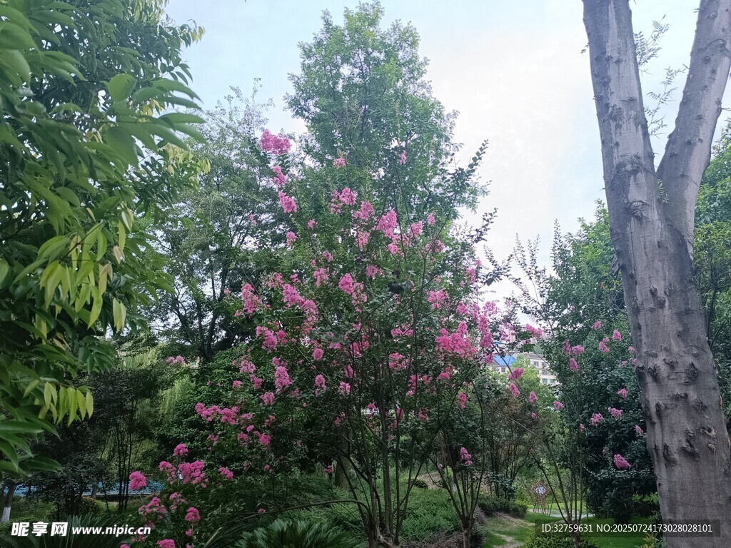 繁花绿树的自然景致