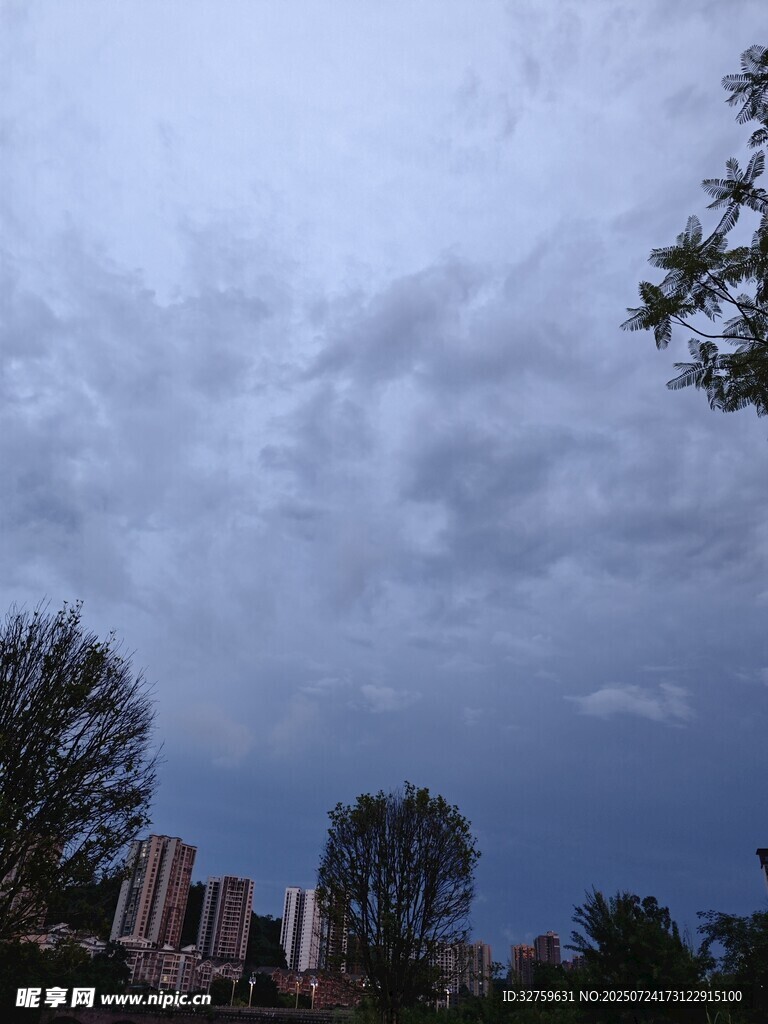 乌云笼罩下的城市与树木