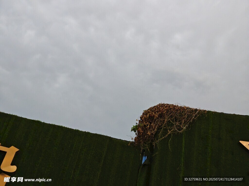 屋顶破损处的阴沉天空
