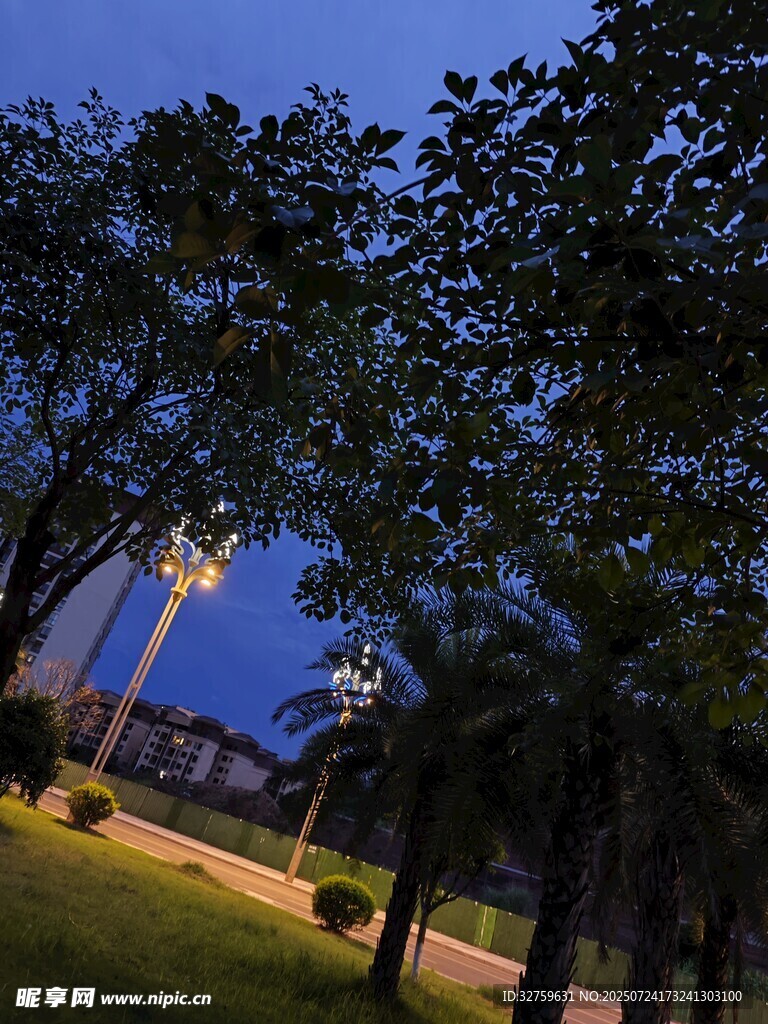 夜幕下的公园林荫小道