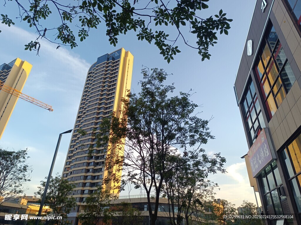 城市高楼与街边树木景观