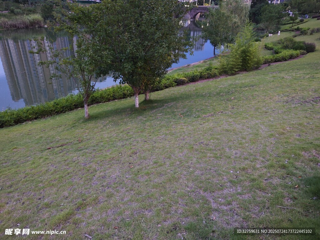 湖畔草地绿树风景图