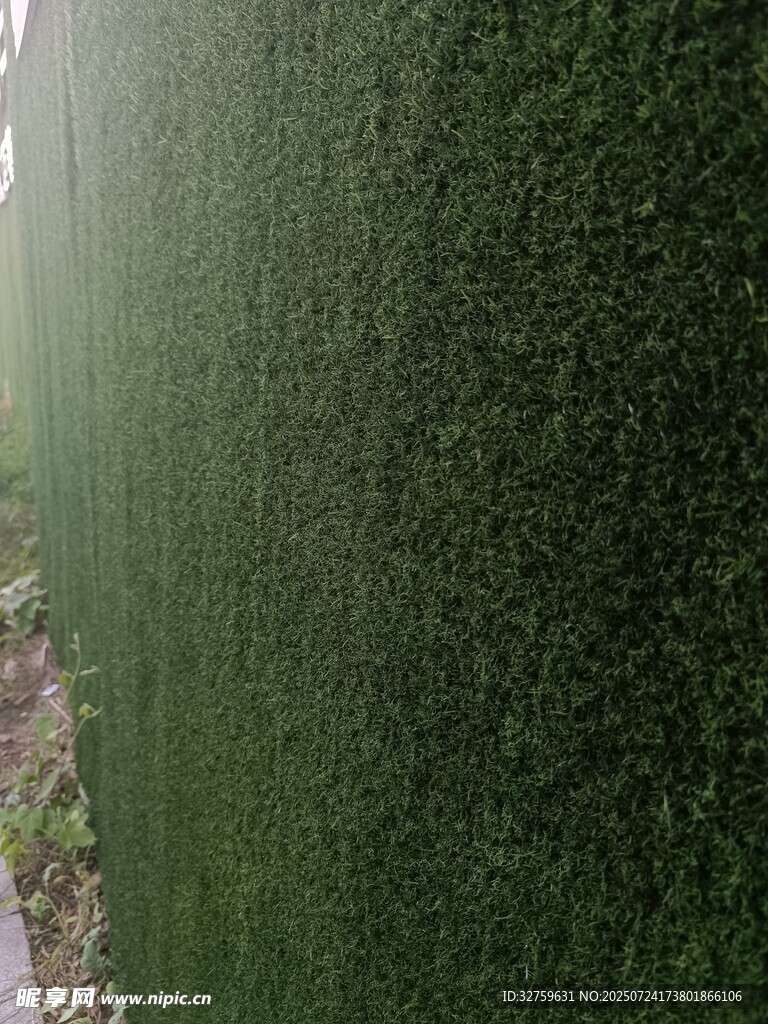 绿色茂密植被俯瞰景象