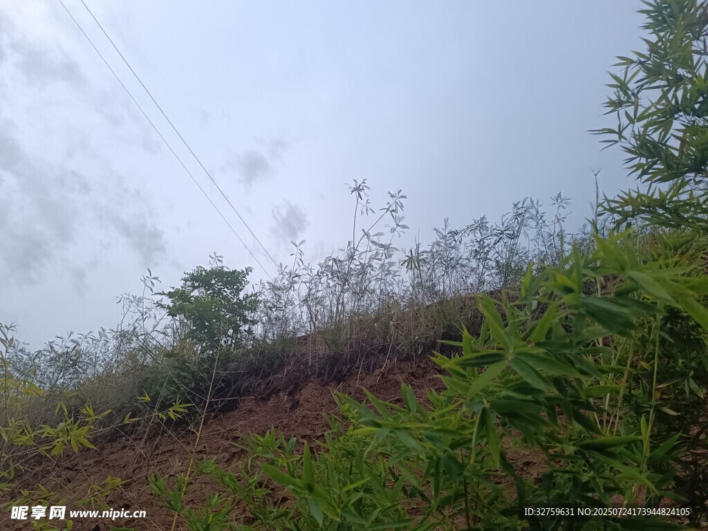 山坡绿植景观