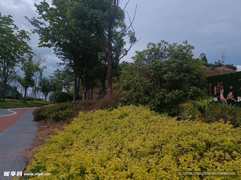 雨后路边繁茂绿植景观