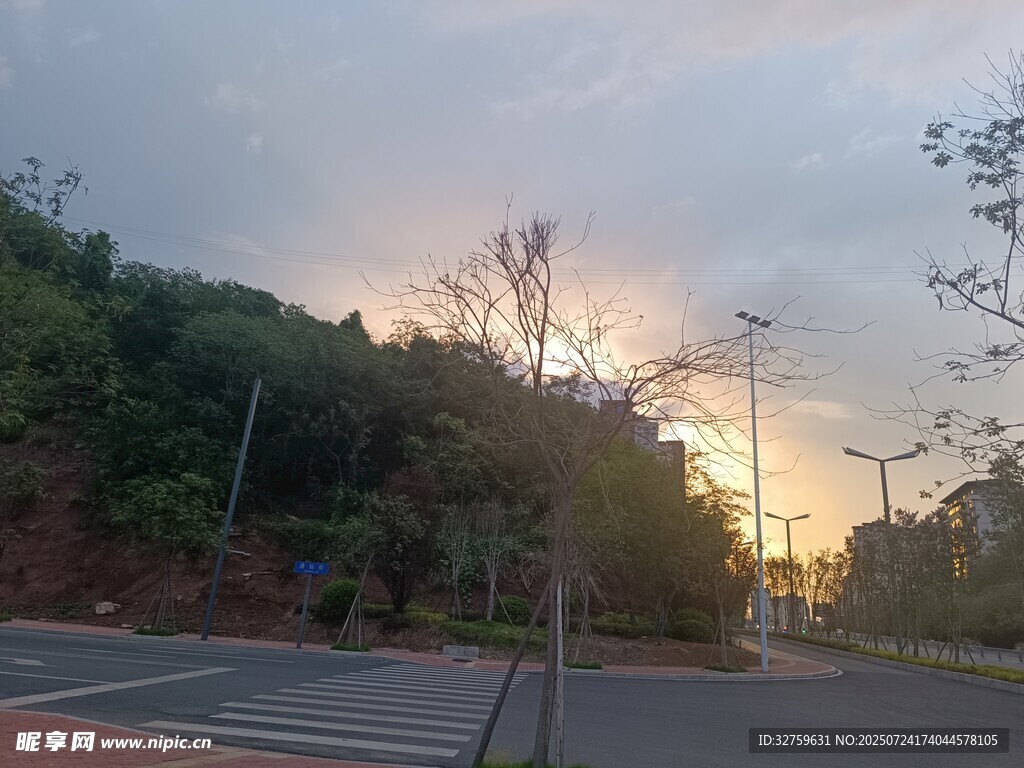 黄昏时分的道路与树林景色