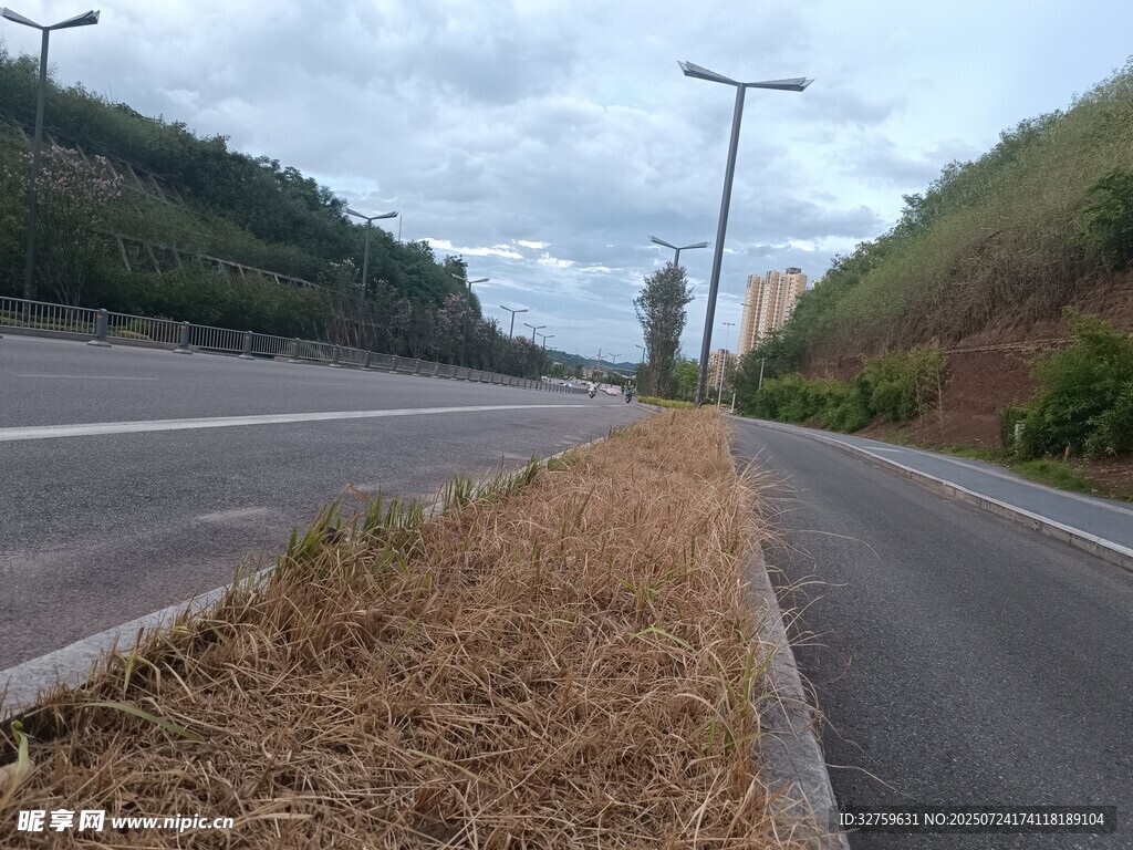 空旷公路旁的自然景致