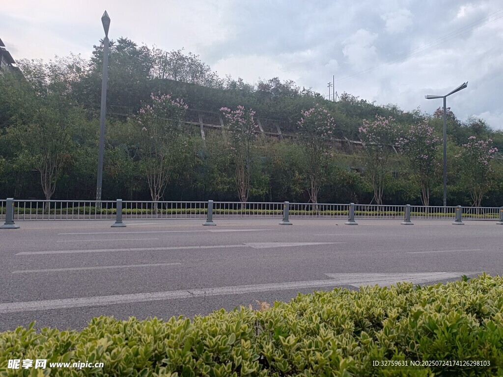 空旷道路旁的绿植景观