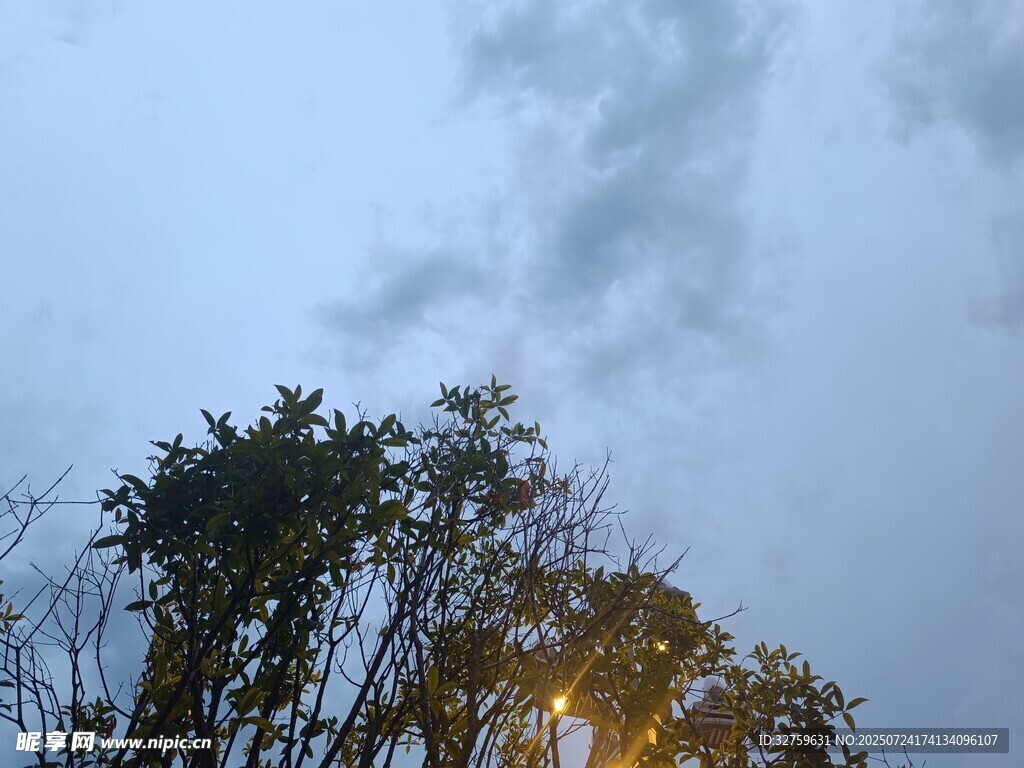 夕阳下的树梢与天空