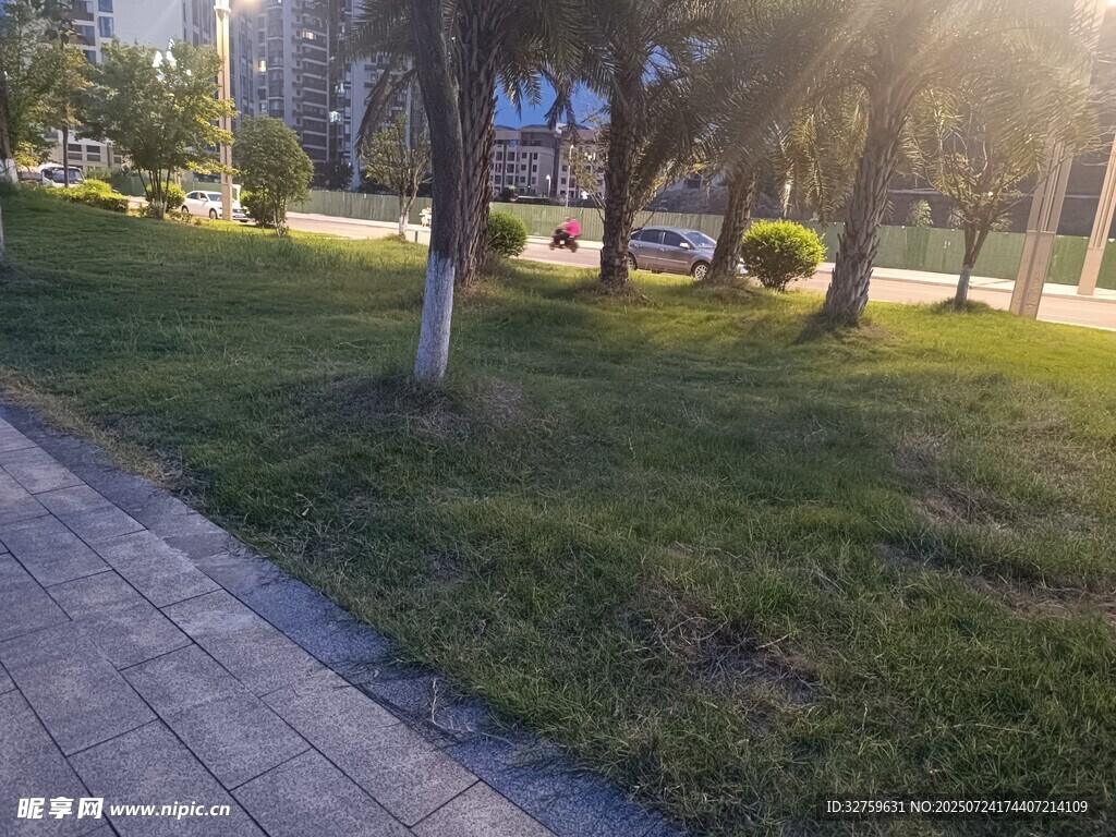 阳光照耀下的城市绿地
