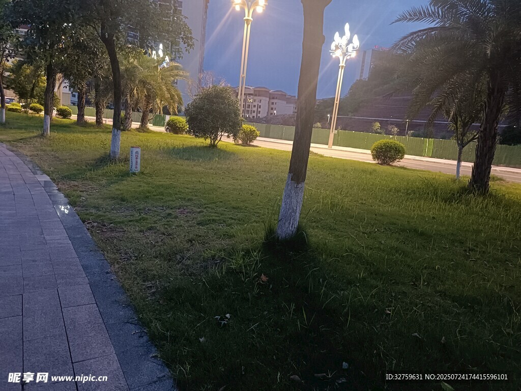 夜晚公园小径的静谧景致