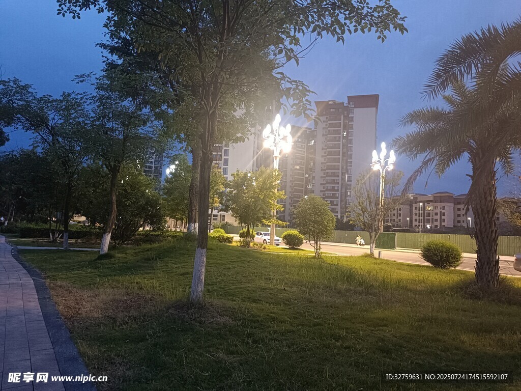 夜幕下的公园静谧景致