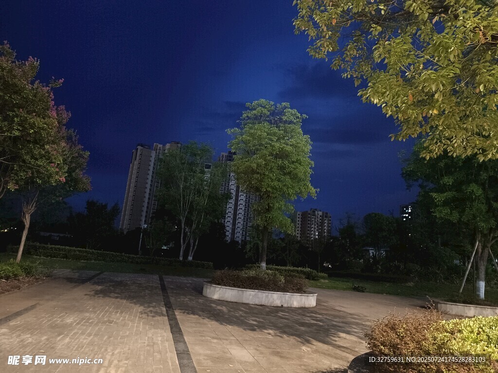 夜晚公园静谧景致