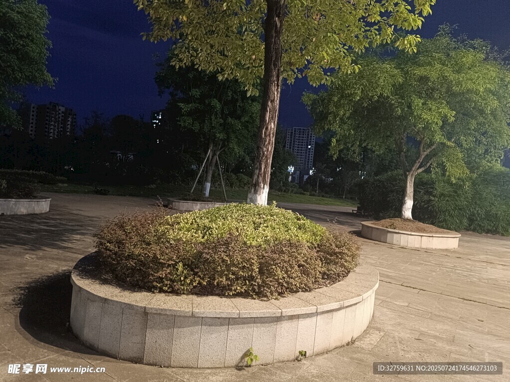 夜晚圆形花坛中的绿树