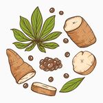 手绘木薯插画