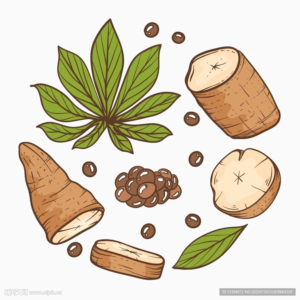手绘木薯插画