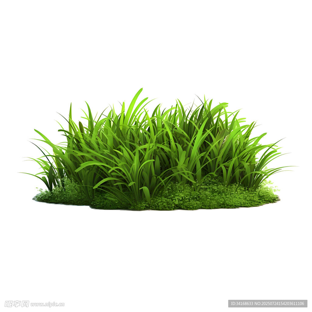 翠绿草丛