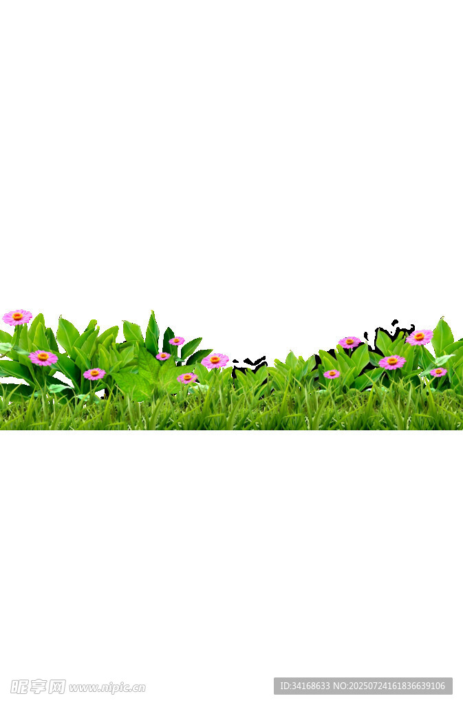 清新草地花卉边缘图