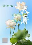 大暑时节荷花绽放