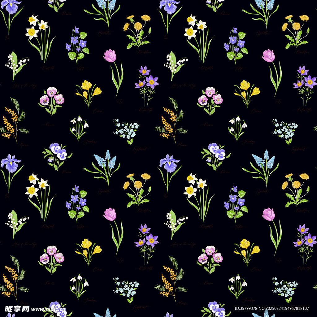 黑色背景花卉图案