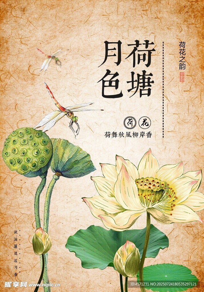 荷塘月色下的清雅荷花