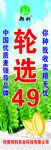 麦种注水旗