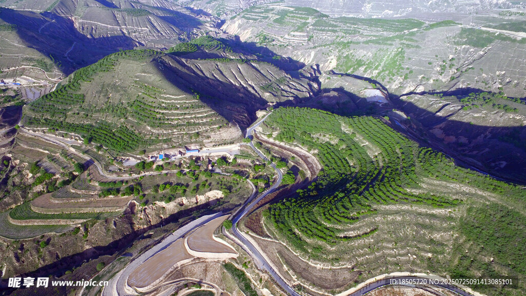 蜿蜒山路于翠绿山谷间