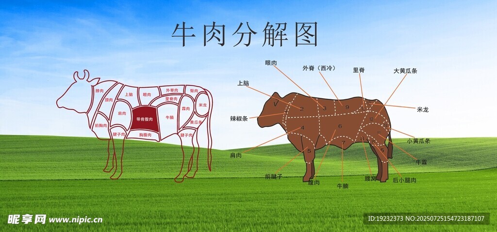 牛肉分解图