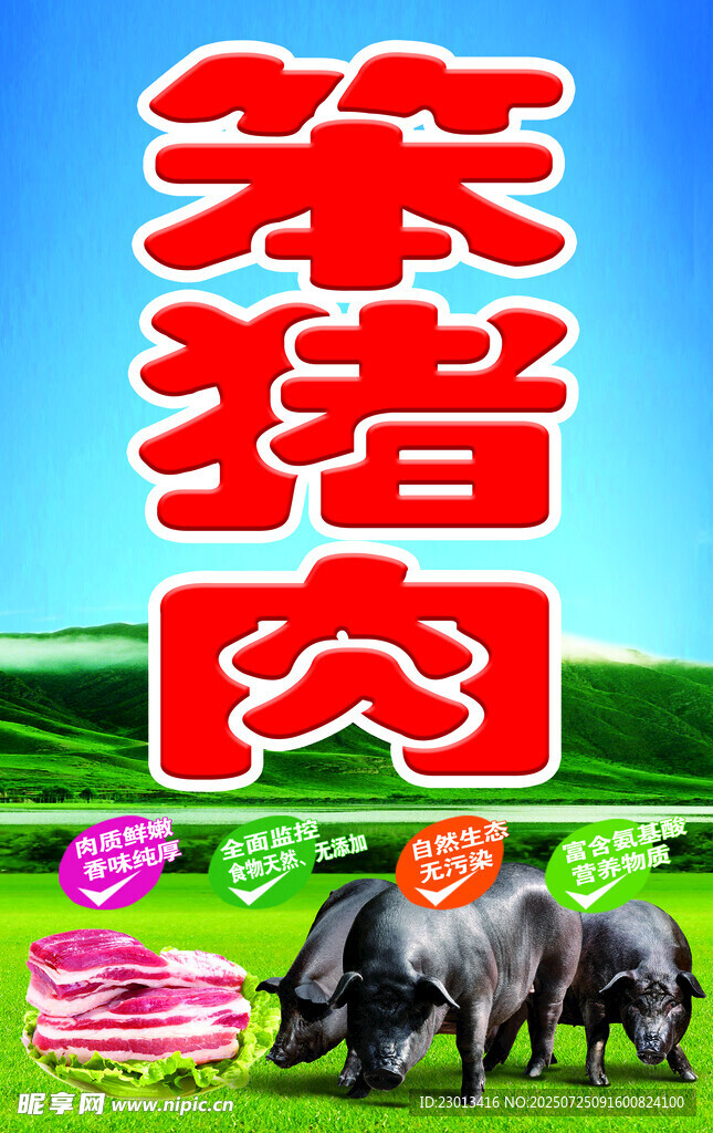 笨猪肉宣传图