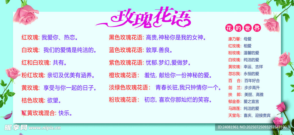 玫瑰花语