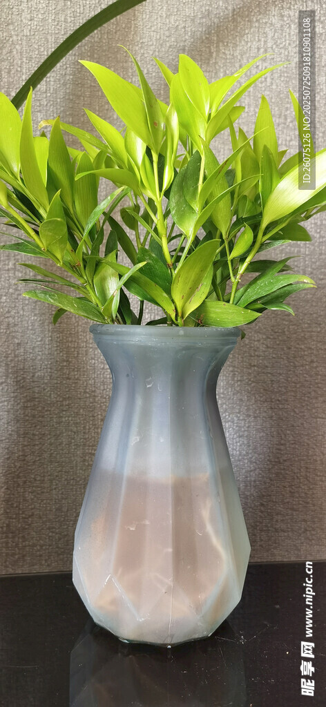 银灰花瓶中的翠绿植物