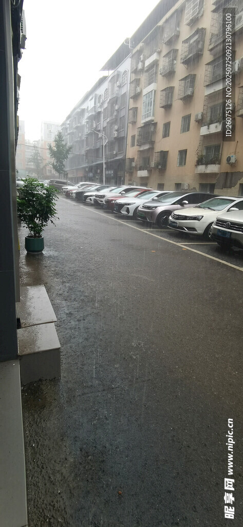 暴雨中城市街道旁停放的车辆