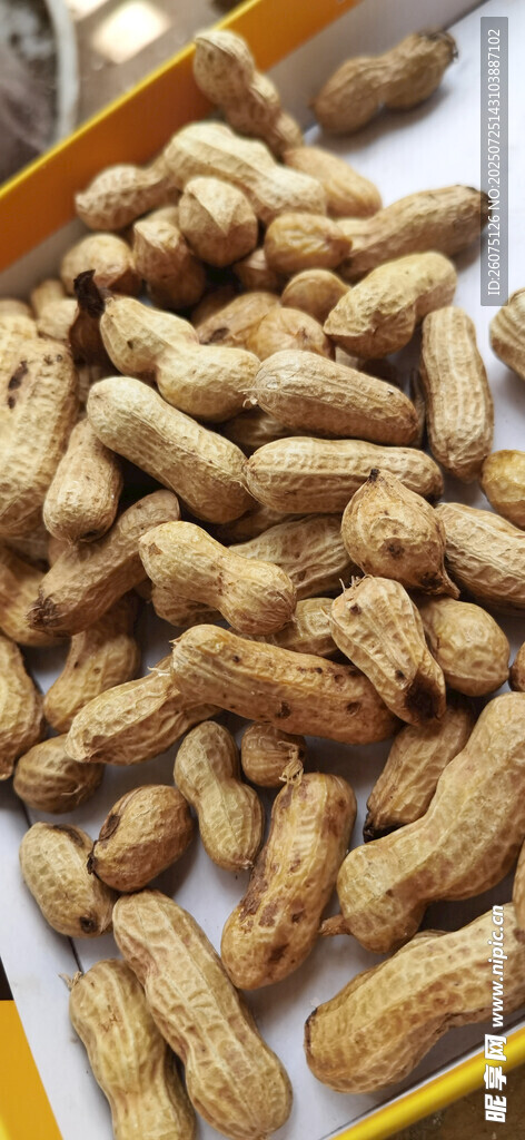 新鲜饱满的花生干货展示