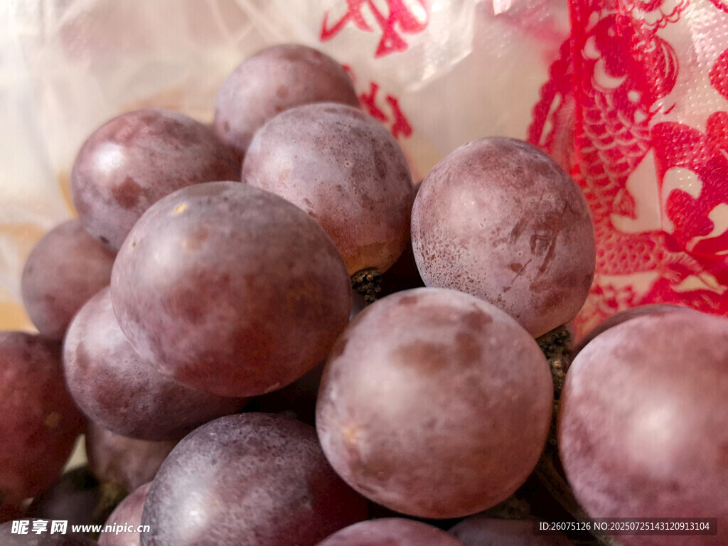 新鲜紫葡萄特写
