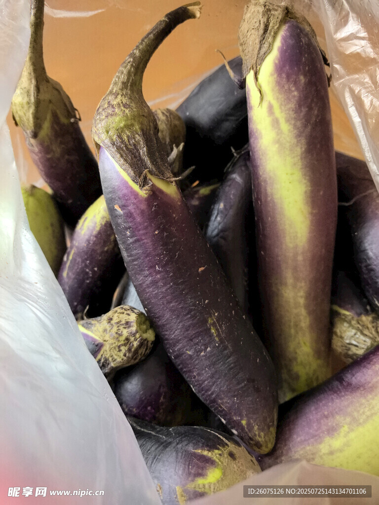 新鲜紫茄子待售