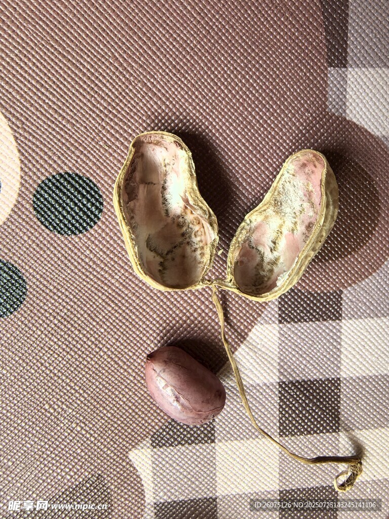 脱壳花生粒和花生壳