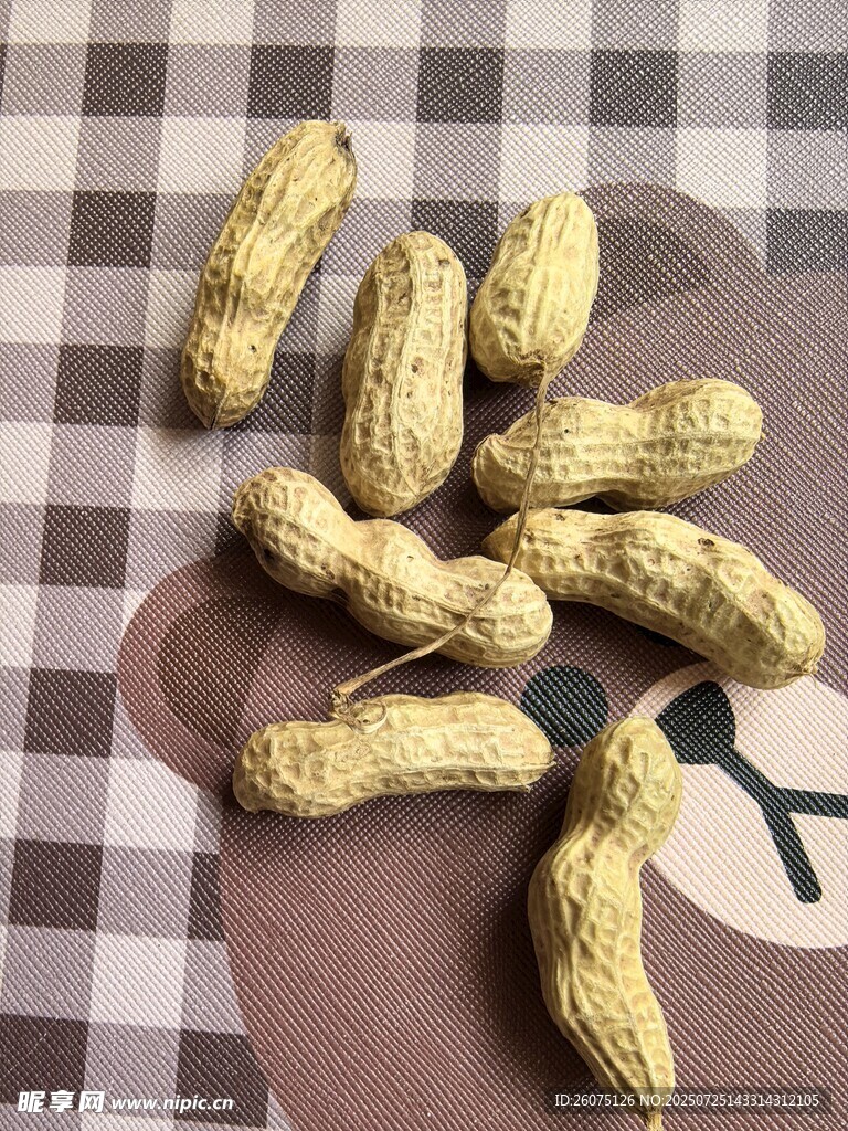 新鲜饱满散落的花生