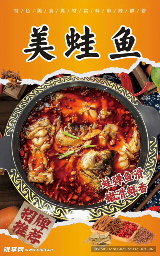 美蛙鱼