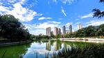 湖畔城市风光 绿树映高楼