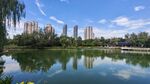 湖畔城市风光 宁静美好