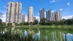 湖畔高楼林立的城市风光