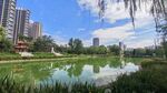 城市中的美丽湖畔风景