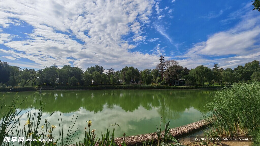湖畔美景 蓝天白云绿树环绕