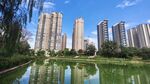 湖畔高楼林立的城市美景