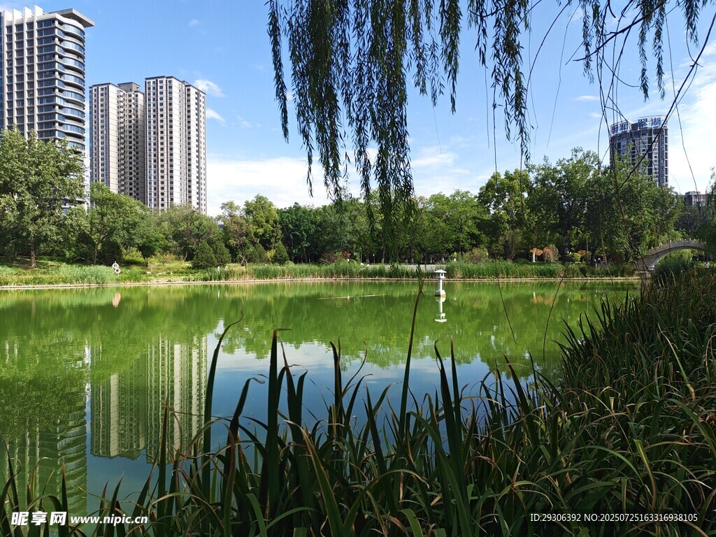 城市湖畔美景