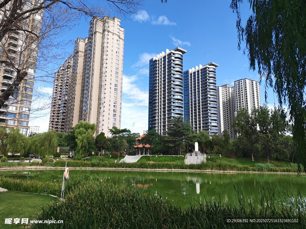 城市中的绿地与高楼景观