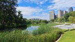 城市湖畔绿意盎然景观